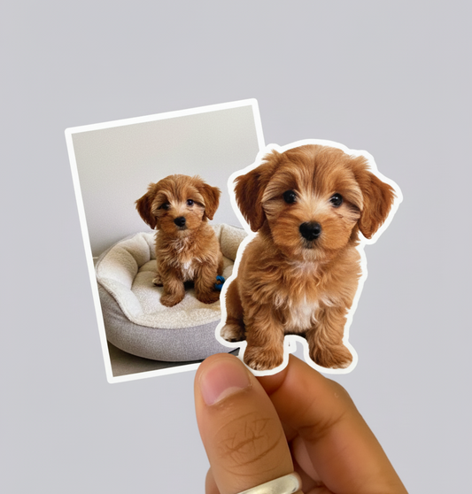 Custom Photo Waterproof Sticker - Custom Photo Magnet